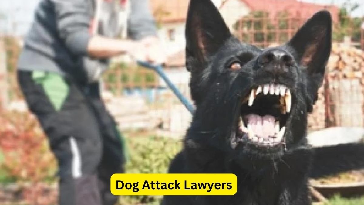 Dog Attack Lawyers