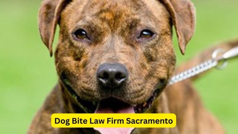 Dog Bite Law Firm Sacramento