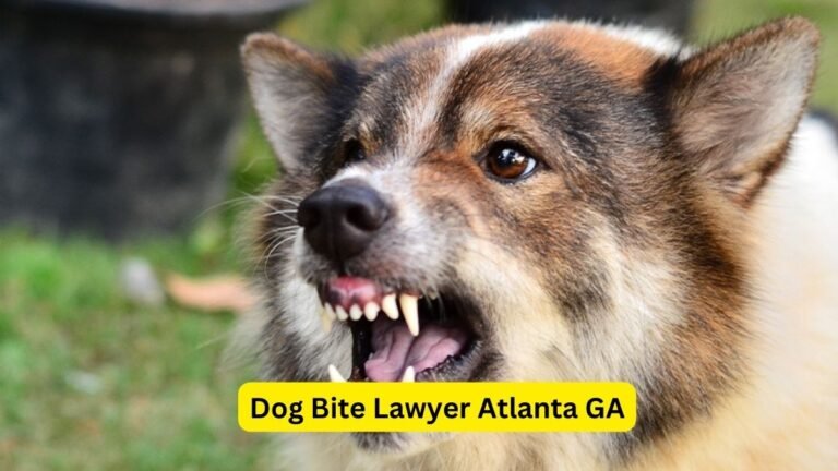 Dog Bite Lawyer Atlanta GA