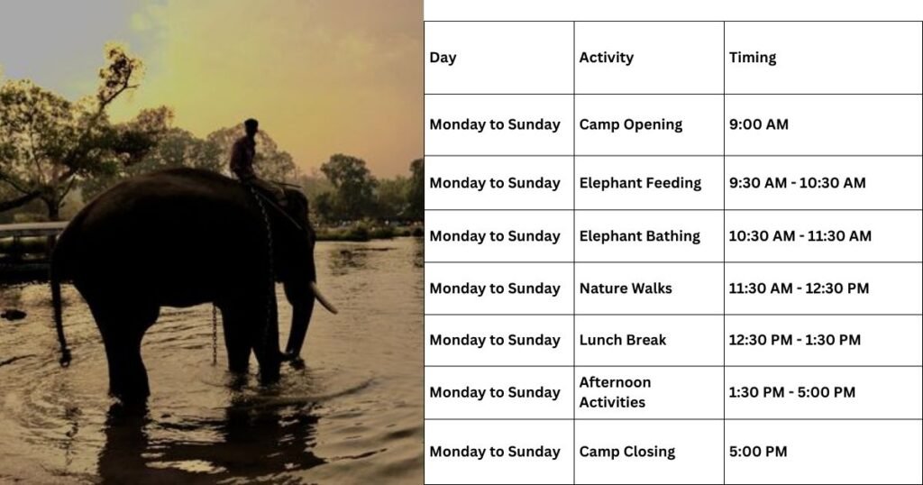 Dubare Elephant Camp Timings